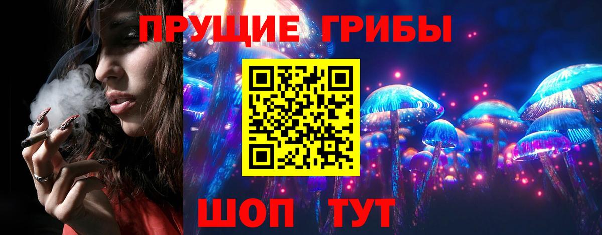 Псилоцибиновые грибы GOLDEN TEACHER Бор