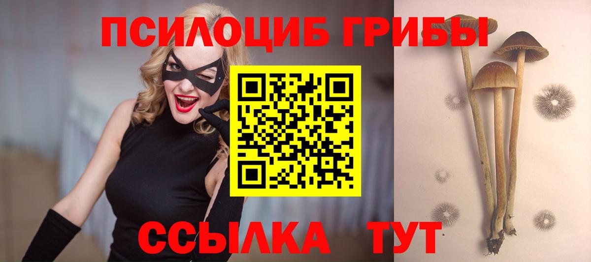 Псилоцибиновые грибы MAGIC MUSHROOMS  Вход с VPN  Бор 